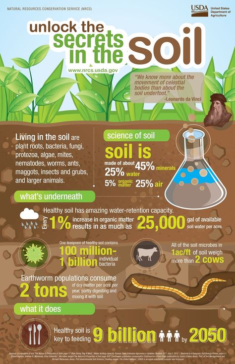 Soil Conservation, Worm Farm, Infographic Poster, Agriculture Education, Food Forest, Earthworms, Soil Health, Plant Health, Plant Roots