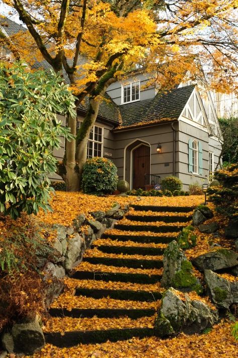 Cute Cozy Homes Exterior, Fall Cottage Exterior, Autumnal House Exterior, Fall Homes Exterior, Granmelinial Decor, Old Cottage Exterior, Cottage Looking Homes, Cottagecore Home Exterior, Earthy House Exterior