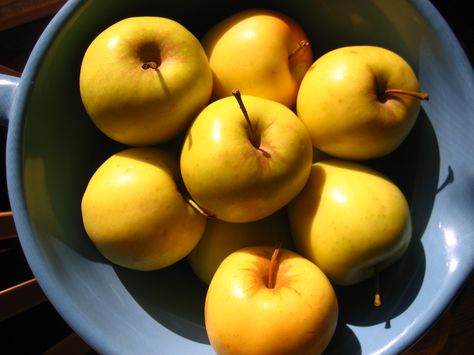 Golden Delicious Apples Yellow Apple Aesthetic, Golden Delicious Apples, Golden Apple Aesthetic, Scent Board, Counting Blessings, Nancy Drew Mystery Stories, Apples Photography, Golden Delicious Apple, Art Apple