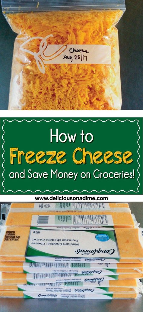 . Freeze Cheese, Freezing Cheese, Freezing Food Guide, Freezing Vegetables, Way To Save Money, Freezer Meal Prep, Money Saving Meals, Freezer Cooking, Frugal Meals