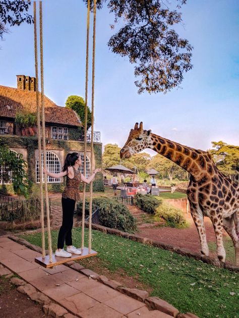 Giraffe Manor Kenya, Giraffe Manor Hotel, Giraffe Hotel, Honeymoon Scene, Giraffe Manor, Giraffe Feeding, Kenya Travel, My Bucket List, Nairobi Kenya