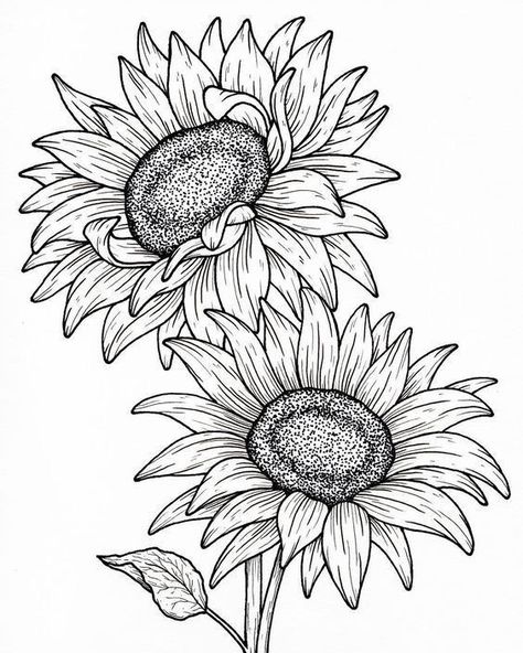 Two Sunflowers Drawing, Sunflower Sketch Simple, Sunflower Tattoo Sketch, Sunflower Design Drawing, Sunflower Tattoo Stencil, Sunflowers Drawing, Sunflower Coloring Page, Sunflowers Illustration, Sunflower Drawings