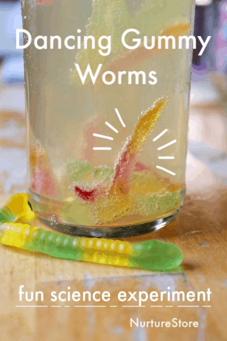 Ready for a science disco? Turn up the music and try this dancing gummy worms science experiment!         Dancing gummy works candy science experiment   In this experiment we’re going to make gummy worms dance. This science lesson is a great way to use up Halloween candy, and to learn about acids […] Worm Science, Worm Crafts, Candy Science Experiments, Candy Experiments, Candy Science, Acids And Bases, Science Experiments For Preschoolers, Science Lesson, Kid Experiments