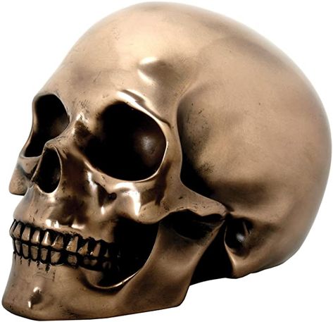 Amazon.com: SUMMIT COLLECTION Decorative Bronze Colored Skull Head Skeleton Figurine Statue: Home & Kitchen Head Skeleton, Skull Statue, Sensor Lights, Creepy Decor, Greek Statues, Skeleton Head, Skeleton Decorations, Human Skeleton, Gold Skull