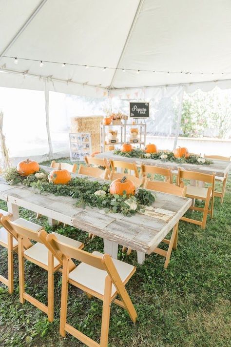 Bridal Shower Pumpkin Theme, First Birthday Pumpkin Patch Theme, First Birthday Party November, Fall Fest First Birthday, Pumpkin 3rd Birthday Party, Pumpkin Greenery Centerpiece, 2nd Birthday Fall Party Ideas, Pumpkin Theme Bridal Shower Ideas, Neutral Fall Birthday