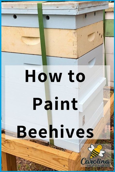 Beehive Painting, Painted Bee Hives, Bee Hives Boxes, Flow Hive, Bee Hive Plans, Backyard Bee, Beekeeping For Beginners, Raising Bees, Backyard Beekeeping