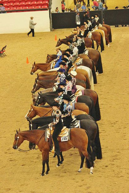 Western Pleasure Aesthetic, Aqha Western Pleasure, Western Horsemanship, Aqha Horses, Western Pleasure Horses, Western Horses, Reining Horses, Horse Show Clothes, Barrel Racing Horses