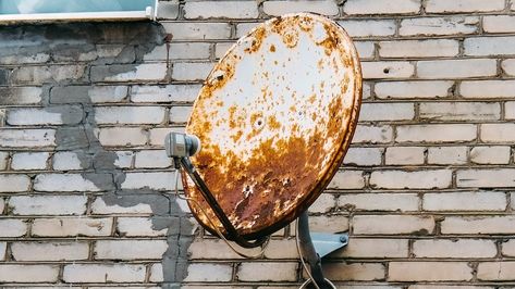 The DIY Upcycle That Turns An Old Satellite Dish Into A Stunning Backyard Feature - House Digest Uses For Old Satellite Dishes, Old Satellite Dish Ideas Garden Art, Satellite Dish Repurpose, High Heat Spray Paint, Diy Dish, Garden Remedies, Satellite Dish, Old Tires, Diy Upcycling