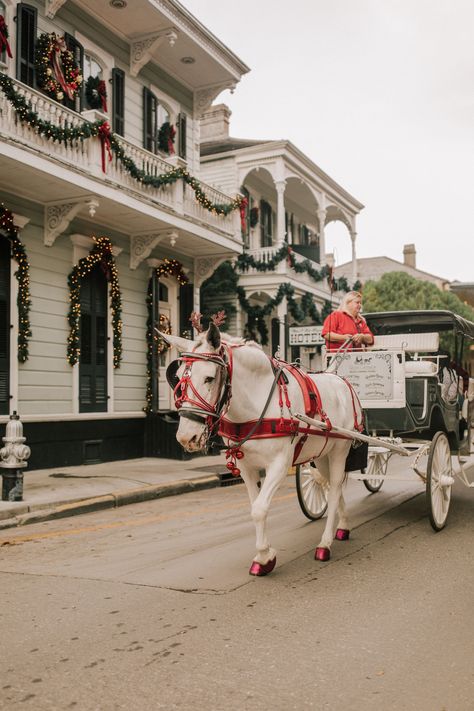 Christmas In New Orleans, Best Christmas Vacations, New Orleans Christmas, Southern Romance, New Orleans Architecture, New Orleans Vacation, Texas Christmas, Louisiana Homes, Christmas Horse