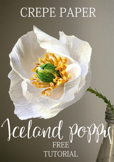 Iceland Poppy, Crepe Paper Flowers Tutorial, Crepe Paper Crafts, Crepe Paper Flowers Diy, Crepe Paper Roses, Fleurs Diy, Paper Peonies, Paper Plants, Paper Flower Crafts