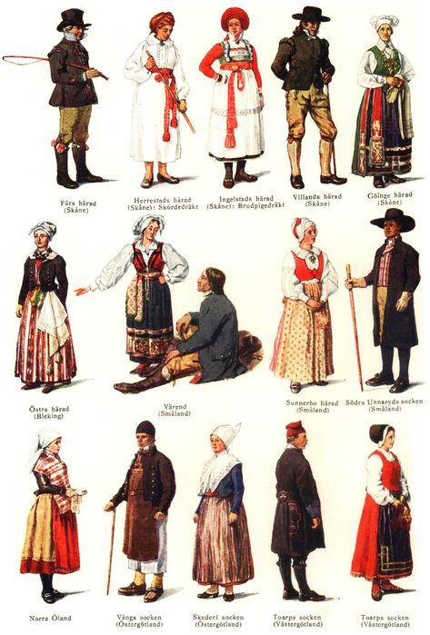 historic Danish clothing Nordic Clothing, Swedish Clothing, Viking Woman, European Culture, National Dress, Folk Dresses, Traditional Attire, Folk Costume, Historical Dresses