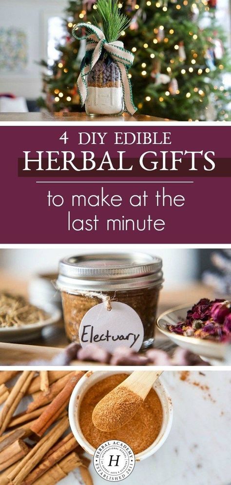 4 DIY Edible Herbal Gifts To Make At The Last Minute | Herbal Academy | For last-minute gift making, create edible herbal gifts such as delicious salts and sugars and yummy treats like electuaries and herbal cookies-in-a-jar. Herbal Cookies, Herbal Gifts, Infused Salt, Herbal Academy, Infused Sugar, Diy Edible, Hashbrown Recipes, Herb Gardens, Herb Gardening