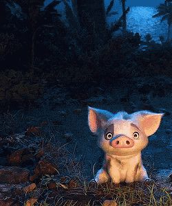 Pua Pig GIF - Pua Pig Moana GIFs Moana, Gif