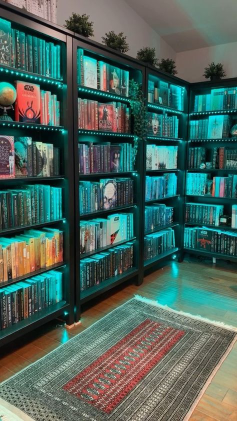 Library Entertainment Room, Cute Library Ideas, Library In A Closet, Home Library On A Budget, Harry Potter Home Library, In Home Library Ideas, In House Library, Book Shelf Room, Dark Home Library