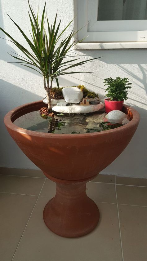 Miniature Water Garden: Create a small water garden in a container with floating plants and a mini pump for a delightful miniature ecosystem.  Hashtags: #SmallGardenIdeas #WaterFeature #GardenDesign #FountainDesign #OutdoorDecor #TranquilSpaces #DIYFountain #UrbanGarden #SustainableLiving Fountain In Garden, Water Fountain Ideas, Water Feature Ideas, Fish Tank Garden, Small Water Gardens, Witchy Garden, Mini Pond, Aquarium Garden, Fountain Ideas