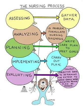 the nursing process (aapie) Nursing Fundamentals, Nursing Information, Nursing Board, Nursing Assessment, Nursing Study Guide, Nursing Diagnosis, Nursing Exam, Nursing Process, Nursing Mnemonics