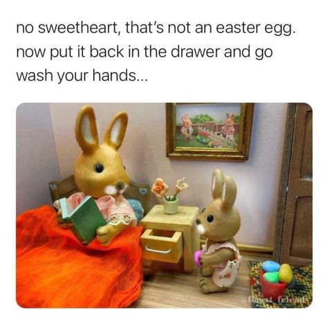 Easter Meme, Easter Memes, Happy Easter Funny, Memes Dirty, Easter Humor, Funny Jokes For Adults, Easter Time, Crafts With Pictures, Funny Bunnies