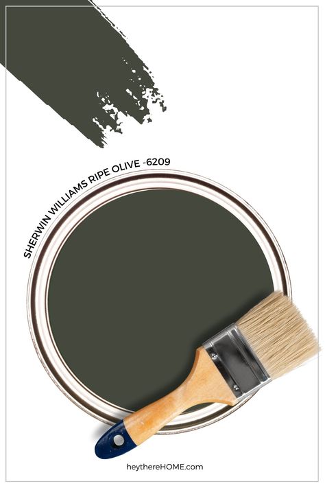 One of the prettiest deep green gray paint colors is Sherwin Williams Ripe Olive 6209. Get ready to be inspired as we look at how this color can be used in your home. Deep Olive Paint Color, Ripe Olive Paint Sherwin Williams, Olive Green Beadboard, Deep Olive Green Paint Colors, Paint Color For Dark Floors, Sherwin Williams Green Accent Wall, Ripe Olive Sherwin Williams Bedroom, Sherwin Williams Deep Green, Ripe Olive Paint