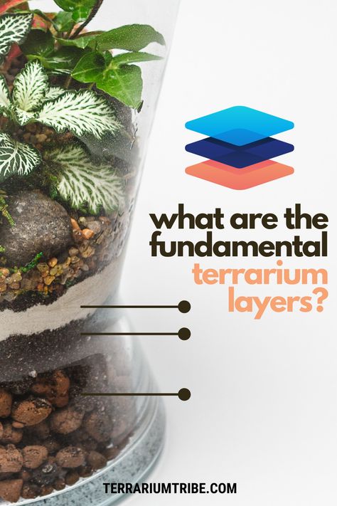 Setting Up A Terrarium, Types Of Terrariums, Enclosed Terrarium Ideas, How To Set Up A Terrarium, Creating A Terrarium, Terrarium Layers How To Make, Building A Terrarium Diy, Small Terrarium Ideas Miniature Gardens, Closed Terrarium Layers