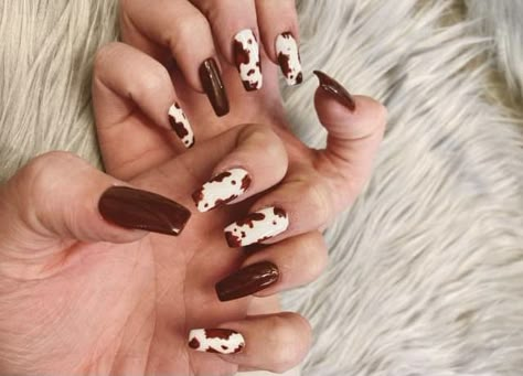 Country Acrylic Nails, Cow Print Nails, Brown Cow Print, Western Nails, Brown Nails Design, Cow Nails, Cute Toe Nails, Brown Cow, Her Nails