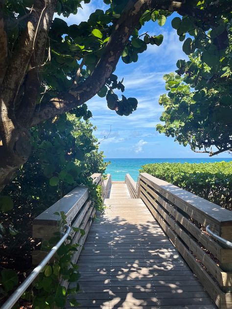 Jupiter Beach Florida, Juno Beach Florida, Summer Beach Wallpaper, Jupiter Beach, Juno Beach, Background Summer, Jupiter Florida, Florida Photography, Florida Lifestyle