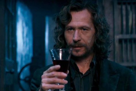 Sirius Black Harry Potter Sirius Black Gary Oldman, Dolores Umbridge, Shifting To Hogwarts, Harry Potter Cosplay, Harry Potter Pin, Images Harry Potter, Harry Potter Gif, George Weasley, Hogwarts Dr