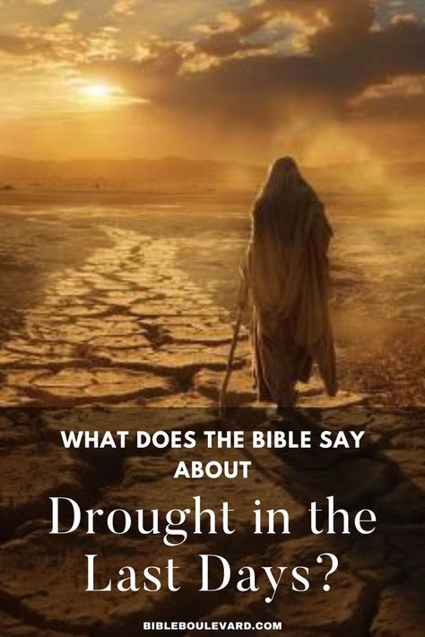 What Does the Bible Say About Drought in the Last Days? Last Days Bible, In The Last Days, The End Times, Study Notebook, Best Bible Verses, Bible Says, End Times, Bible Study Notebook, Bible Notes