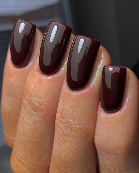 Cinnamon Spice, February 8, Brown Nails, Elegant Nails, Gel Color, Nail Colors, Valentines, Nails, Color