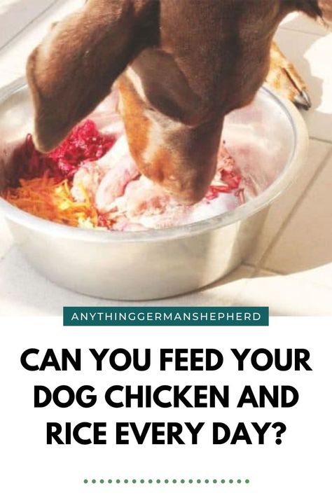 Chicken And Rice For Dogs, Chicken Dog Food Recipes, Rice Diet, Crockpot Chicken Breast, Cheesy Chicken Broccoli, Broiled Chicken, Chicken For Dogs, Poached Chicken, Roasted Chicken Breast