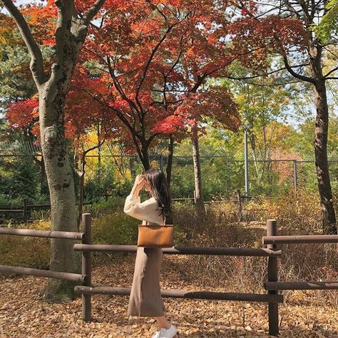 Japanese Autumn Aesthetic, Japanese Clothes Aesthetic, Soft Minimalist Aesthetic, Chill Lifestyle, Coffee Tiramisu, Aesthetic Ethereal, Autumn In Korea, Fall Aesthetic Outfit, Nami Island