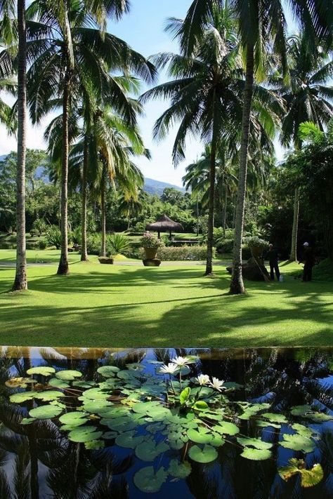 Tired of typical getaways? Try these resorts in the Philippines, which not only provide incredible comfort, but unique concepts to make your stay memorable. Garden Bed Garden, House Landscaping Ideas, Ancestral House, Xeriscape Plants, Unique Resorts, Hotel Landscape, Painting Garden, Tropical Garden Design, Backyard Flowers