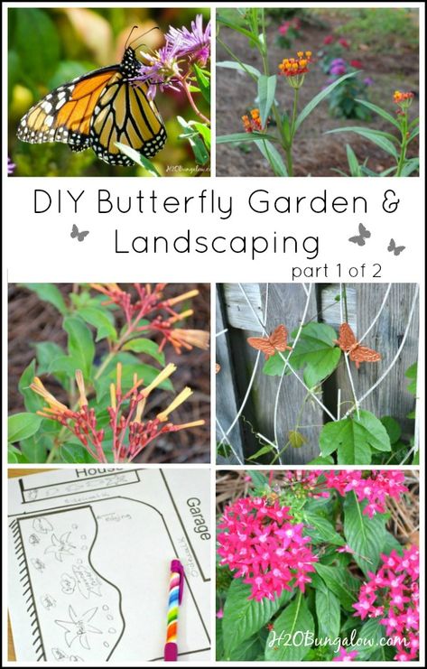 Diy Butterfly Garden, Hummingbird Sanctuary, Garden Habitat, Monarch Butterfly Garden, Butterfly Farm, Butterfly Garden Plants, Attracting Butterflies, Butterfly Gardens, Butterfly Garden Design