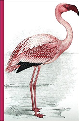 Vintage Flamingo Illustration Journal: 5.25" x 8" Bullet Journal - Blank Notebook, 1/4 inch Dot Grid with 160 Pages, Sturdy Matte Softcover Dotted ... Old Animal Print Flamingo Ornament Design: Tri-Moon Press: 9781543072327: Amazon.com: Books Vintage Journal Cover, Books Moodboard, Vintage Flamingo, Flamingo Illustration, Flamingo Ornament, Illustration Journal, Bird Book, Ornament Design, Blank Notebook