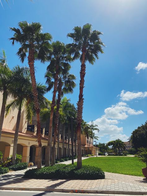 Palm Beach Atlantic University Dorm, Palm Beach Atlantic University, Book Therapy, Tropical Backyard Landscaping, University Dorms, Tropical Backyard, Life Vision, Life Vision Board, Dream College