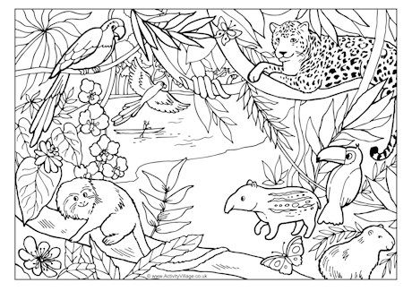 Rainforest colouring page - fantastic site, lots of free activity printables for kids (animals, holidays, seasons, etc) Duckbill Platypus, Jungle Coloring Pages, Zoo Coloring Pages, Forest Coloring Pages, Rainforest Theme, Rainforest Animals, Tropical Animals, Pokemon Coloring, Animal Coloring Books