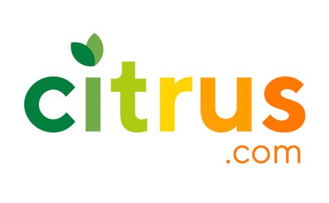 Citrus Logo Design, Citrus Logo, Fruits Logo, Boost Juice, Eco Logo Design, Lemon Logo, Fruit Logo Design, Boho Logo Design, Brand Website Design