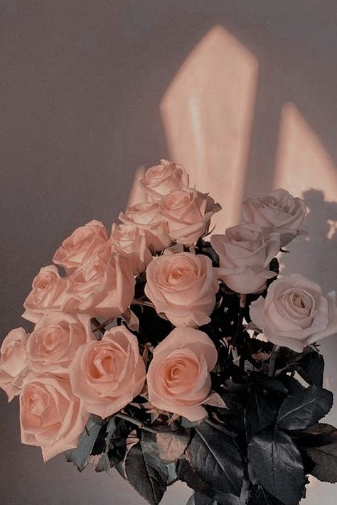 Wallpaper Rosa, Rose Gold Aesthetic, Aesthetic Roses, Book Flowers, Flowers Bouquet Gift, Nothing But Flowers, Flower Therapy, Beautiful Bouquet Of Flowers, Luxury Flowers