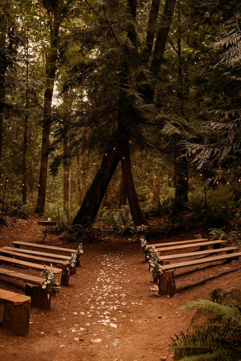 Forest Small Wedding, Intimate Wedding In The Woods, Wedding Aesthetic Nature, Intimate Woodsy Wedding, Black Woodsy Wedding, Pine Forest Wedding Ceremony, Evergreen Forest Wedding, Woodsy Wedding Aesthetic, Pnw Forest Wedding