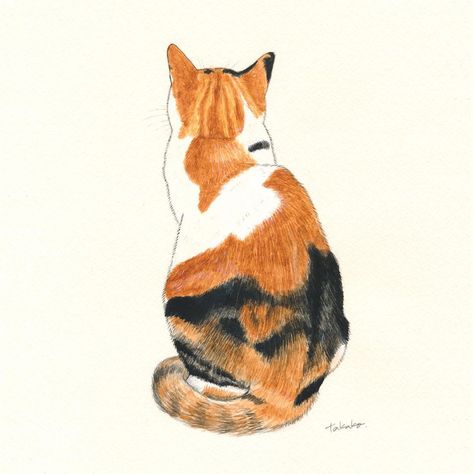 Calico Cat Sketch, Calico Cat Illustration, Calico Cat Drawing, Calico Cat Painting, Fur Drawing, Quiet Cat, Fur Pattern, Cat Embroidery Design, Learn Watercolor Painting