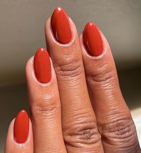 Orange Classy Nails, Red Orange Nail Color, Red Orange Fall Nails, Ochre Nails, Fun Nails Fall, Fall Solid Color Nails, Rusty Orange Nails, Sunset Orange Nails, Blood Orange Nails