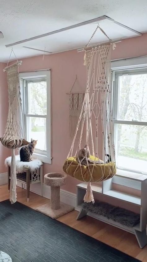 Cat Room Ideas Diy, Cat Spaces In Home, Cats House Ideas, Cat Room Ideas Small Spaces, Room Ideas Small Spaces, Cat House Design, Cat Room Ideas, Room Ideas Diy, Katt Grejer