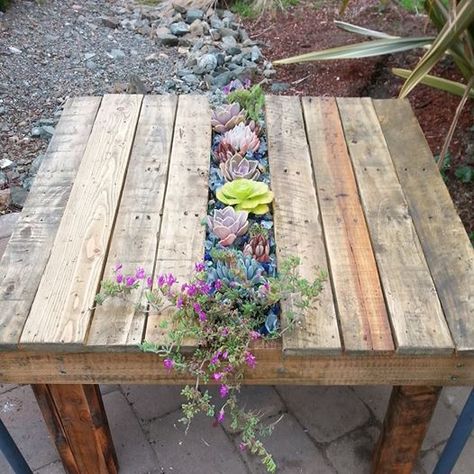 Succulent Coffee Table, Pallet Table Outdoor, Palette Table, Pallet Furniture Ideas, Pallet Table Diy, Repurpose Pallets, Easy Diy Ideas, Backyard Seating Area, Pallet Patio Furniture