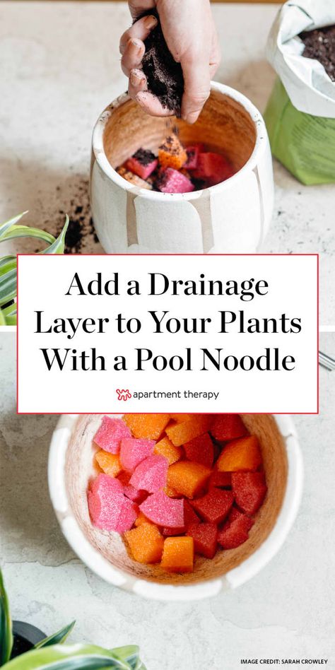 Use a Pool Noodle for Drainage in a Plant Pot Without Holes | Apartment Therapy Rocks In Potted Plants, Diy Yard Projects Awesome Ideas, Planters Without Drainage Holes, How To Plant In Pots Without Drainage Holes, How To Pot A Plant Without Drainage, Indoor Plant Drainage Ideas, Plant Pot Hacks, Pots Without Drainage Holes, Plant Drainage Ideas