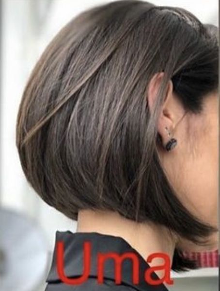 Apple Haircut, A Line Bob Short, Brunette Long Bob, Apple Cut Hairstyle, Asian Bob Haircut, Back Of Bob Haircut, Bob Short Hairstyles, The Wet Look, Hairstyle Easy