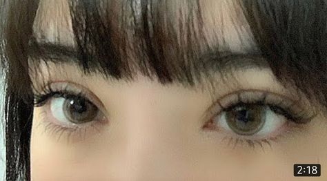 Manhua Lashes, Feline Eyes, Bumbo, Doe Eyes, Vision Eye, Longer Eyelashes, Pretty Eyes, 인물 사진, Cute Makeup