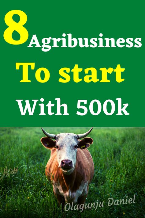 Agriculture business opportunities, How to make money from agriculture, Agriculture business Agribusiness Ideas, Agriculture Business Plan, Catfish Farming, Snail Farming, Poultry Business, Farming Tips, Starting A Farm, Agriculture Business, Farm Shed