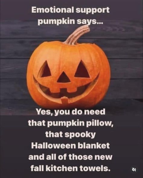 Fall Humor, Halloween Blanket, Pumpkin Pillows, Fall Kitchen, Halloween Quotes, Freddy Krueger, Michael Myers, Emotional Support, Halloween Cosplay