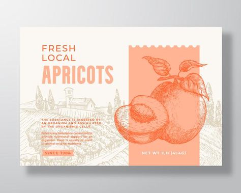 Mango Packaging Design, Fruit Branding, Food Label Design, Premium Packaging Design, Food Label Template, Spices Packaging, Typography Packaging, Tea Packaging Design, Honey Packaging