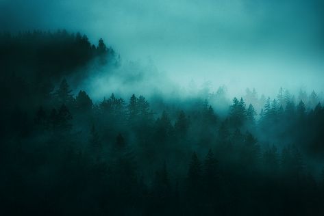 Dark Fairytale Aesthetic, Fae Aesthetic, Turquoise Aesthetic, Grey Warden, Dark Cyan, Color Personality, Teal Wallpaper, The Mist, Green Forest