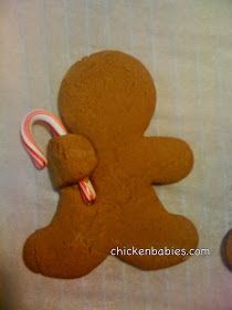 Cute Gingerbread Cookies, Make Gingerbread Cookies, Christmas Baking Easy, Candy Cane Recipe, How To Make Gingerbread, Candy Cane Cookies, Gingerbread Man Cookies, Gingerbread Men, Christmas Cooking